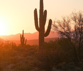 Scottsdale and Paradise Valley Market Update Aug 2023