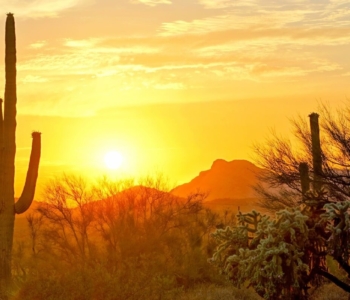 Homes For Sale Silverleaf at DC Ranch