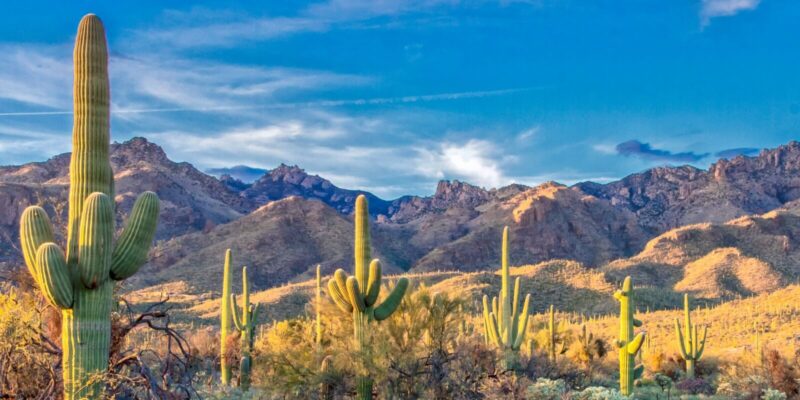 Scottsdale and Paradise Valley Market Update Feb 2025