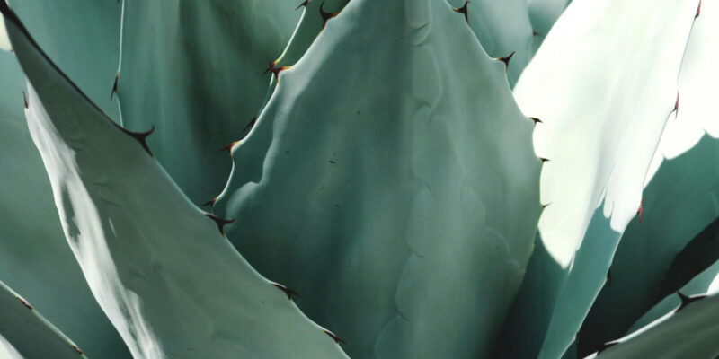 Scottsdale and Paradise Valley Market Report Oct 2025