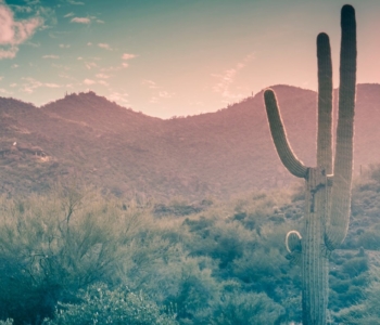 Scottsdale Lot Buying Guide