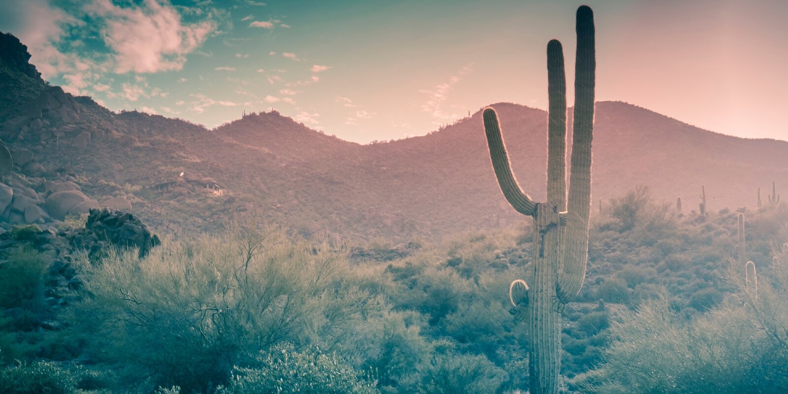 Scottsdale Lot Buying Guide