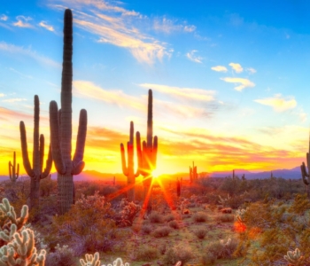 Scottsdale Luxury Real Estate For Sale